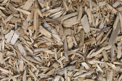 biomass boilers Woodston